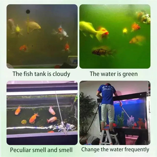 Water Purification Tablets For Fish Tank
